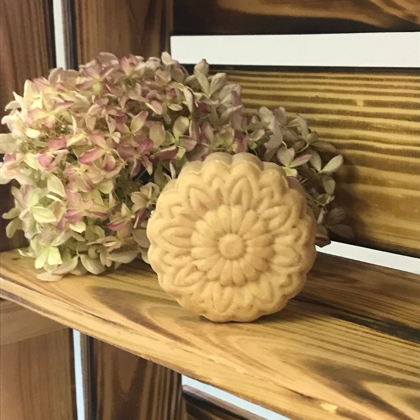 Schampokaka- önskad hårtillväxt