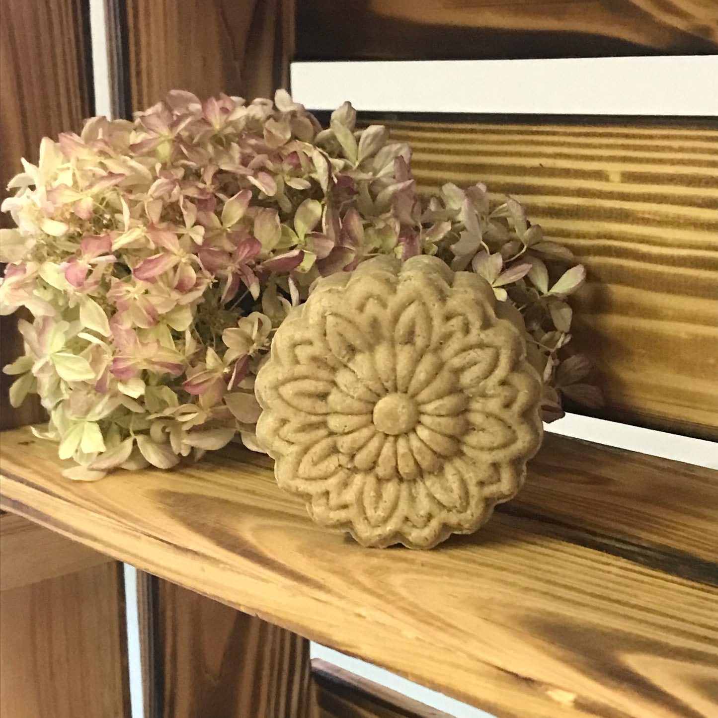 Schampokaka dödahavssalt- för volym